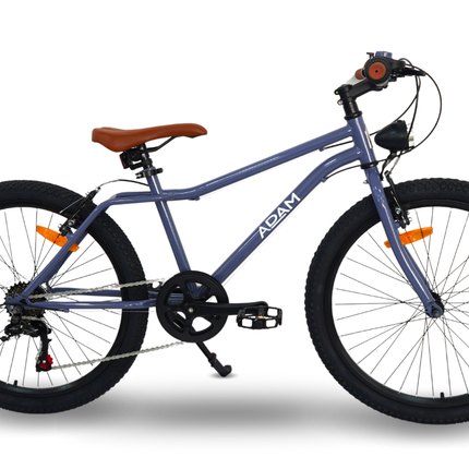 24" mountain bike teenagers blue