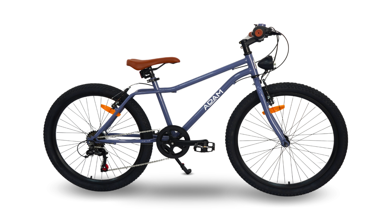 24" mountain bike teenagers blue