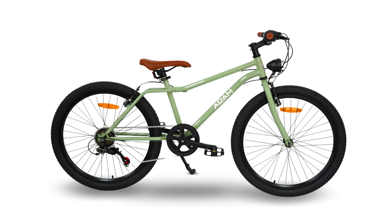 24" mountain bike for adventure and stroll young adults sage 