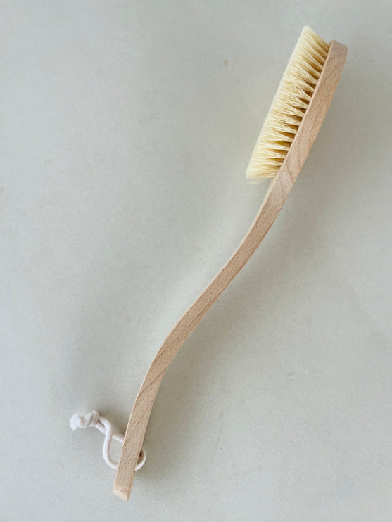 Body Brush - with long handle