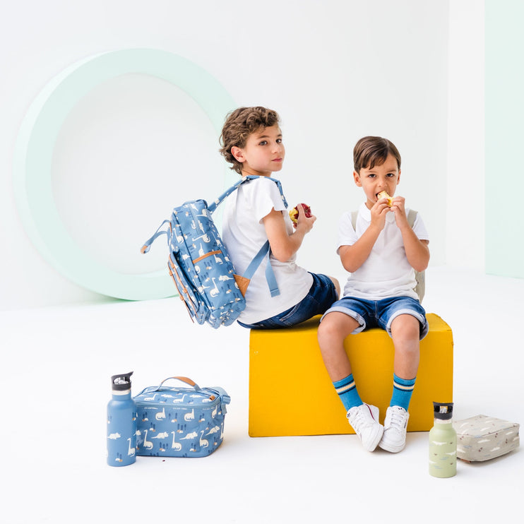 matching dino school set for boys