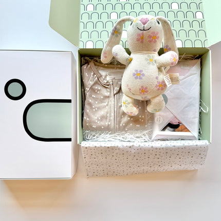 parent and baby newborn premade gift box