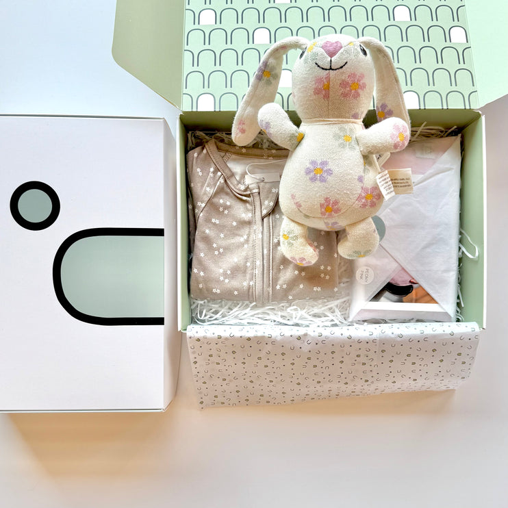 parent and baby newborn premade gift box