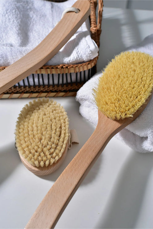 Body Brush - with long handle