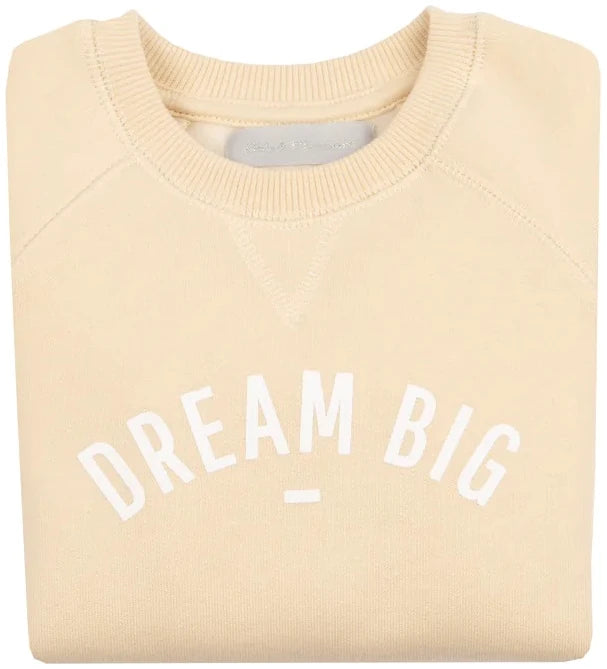 dream big sweater